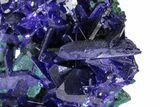 Gemmy Azurite Crystals on Malachite - Milpillas Mine, Mexico #240668-2